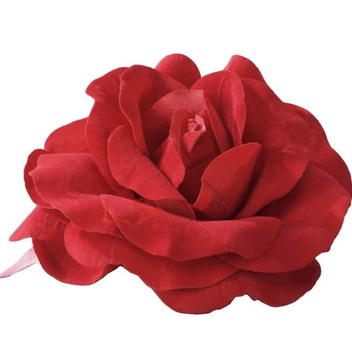 Large Red Rose On Pin